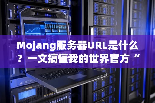Mojang服务器URL是什么？一文搞懂我的世界官方“门牌号”