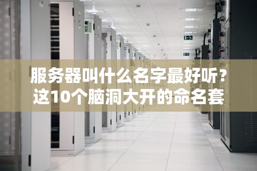 服务器叫什么名字最好听？这10个脑洞大开的命名套路，技术宅直呼内行！