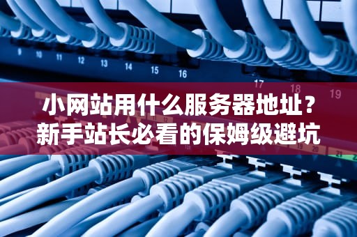 小网站用什么服务器地址？新手站长必看的保姆级避坑指南！