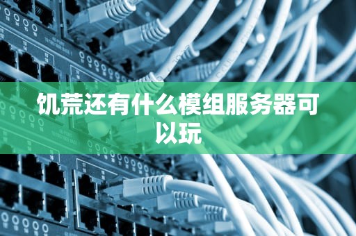 饥荒还有什么模组服务器可以玩