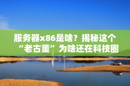 服务器x86是啥？揭秘这个“老古董”为啥还在科技圈蹦迪！