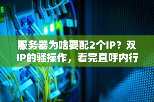 服务器为啥要配2个IP？双IP的骚操作，看完直呼内行！