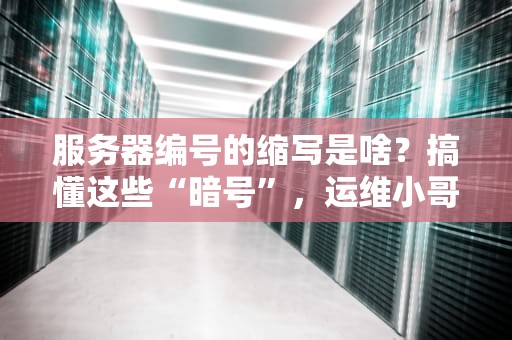 服务器编号的缩写是啥？搞懂这些“暗号”，运维小哥直呼内行！