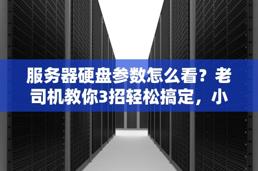 服务器硬盘参数怎么看？老司机教你3招轻松搞定，小白也能秒懂！
