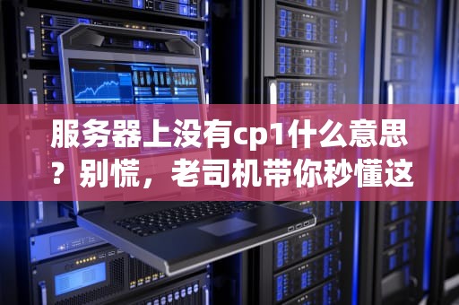 服务器上没有cp1什么意思？别慌，老司机带你秒懂这个“神秘代码”！
