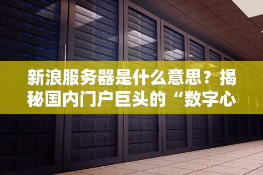 新浪服务器是什么意思？揭秘国内门户巨头的“数字心脏”有多强！