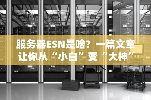 服务器ESN是啥？一篇文章让你从“小白”变“大神”！（附超实用选购技巧）