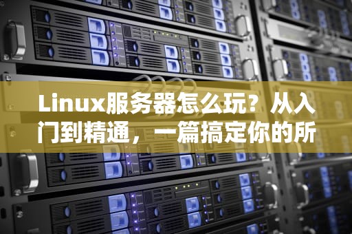 Linux服务器怎么玩？从入门到精通，一篇搞定你的所有疑问！