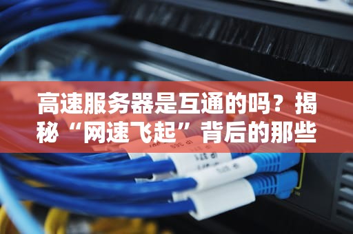 高速服务器是互通的吗？揭秘“网速飞起”背后的那些事儿！