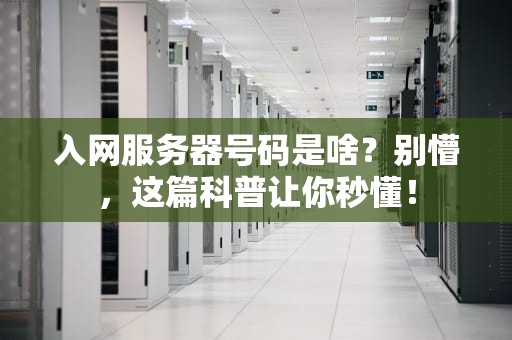 入网服务器号码是啥？别懵，这篇科普让你秒懂！
