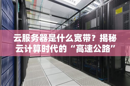 云服务器是什么宽带？揭秘云计算时代的“高速公路”有多宽！