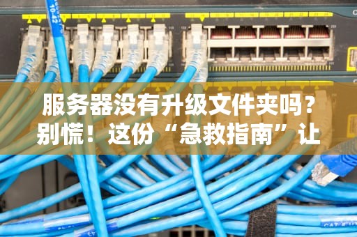 服务器没有升级文件夹吗？别慌！这份“急救指南”让你秒懂文件管理玄机