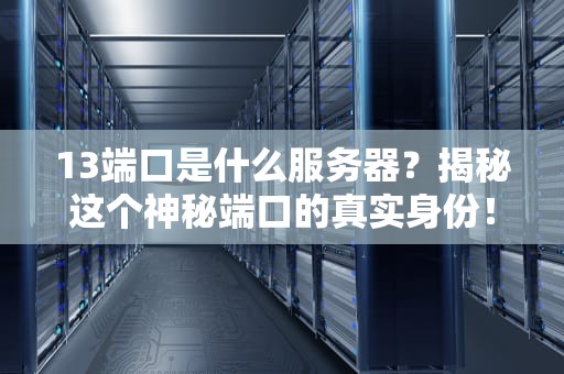 13端口是什么服务器？揭秘这个神秘端口的真实身份！