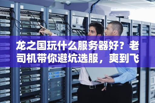龙之国玩什么服务器好？老司机带你避坑选服，爽到飞起！