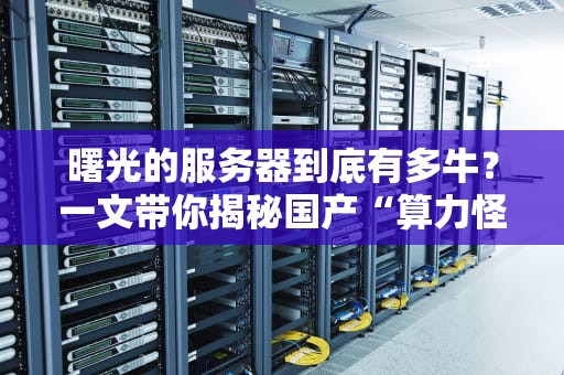 曙光的服务器到底有多牛？一文带你揭秘国产“算力怪兽”的硬核实力！