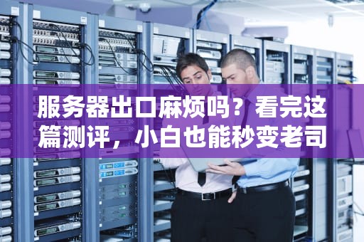 服务器出口麻烦吗？看完这篇测评，小白也能秒变老司机！