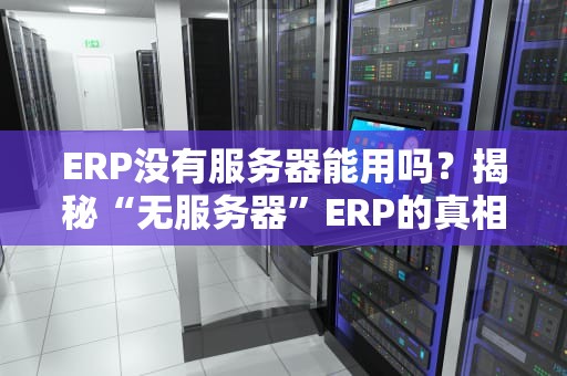 ERP没有服务器能用吗？揭秘“无服务器”ERP的真相与替代方案！