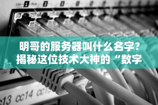 明哥的服务器叫什么名字？揭秘这位技术大神的“数字老婆”养成记！