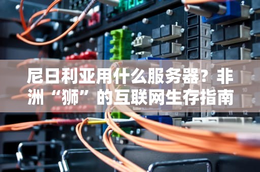 尼日利亚用什么服务器？非洲“狮”的互联网生存指南！