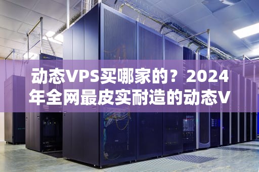 动态VPS买哪家的？2024年全网最皮实耐造的动态VPS推荐指南！