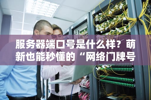服务器端口号是什么样？萌新也能秒懂的“网络门牌号”指南！