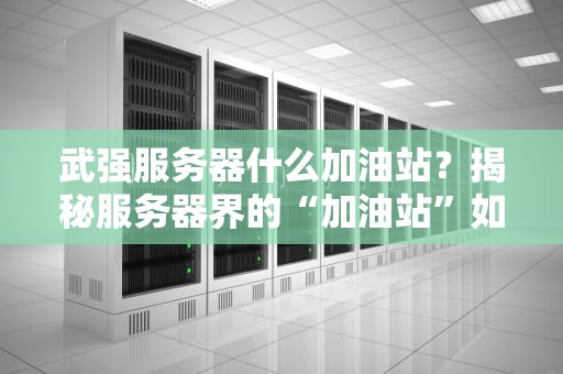 武强服务器什么加油站？揭秘服务器界的“加油站”如何让网站飞起来！