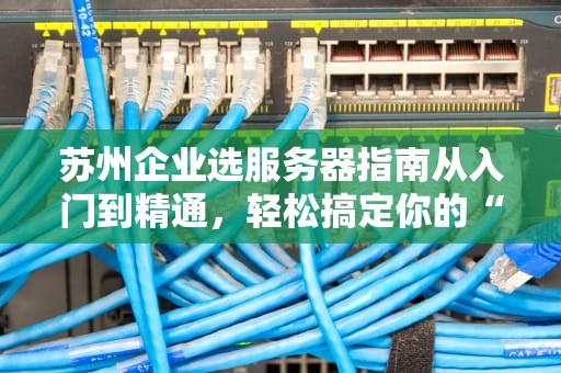 苏州企业选服务器指南从入门到精通，轻松搞定你的“数字大脑”