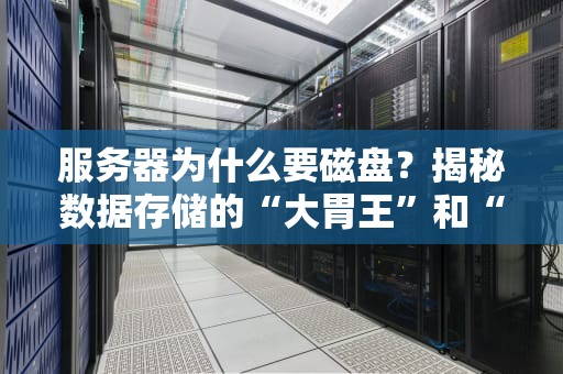 服务器为什么要磁盘？揭秘数据存储的“大胃王”和“闪电侠”