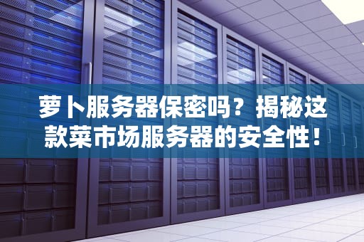 萝卜服务器保密吗？揭秘这款菜市场服务器的安全性！