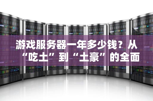 游戏服务器一年多少钱？从“吃土”到“土豪”的全面解析！