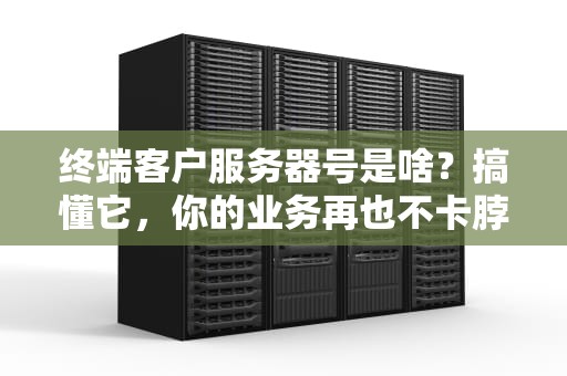 终端客户服务器号是啥？搞懂它，你的业务再也不卡脖子！