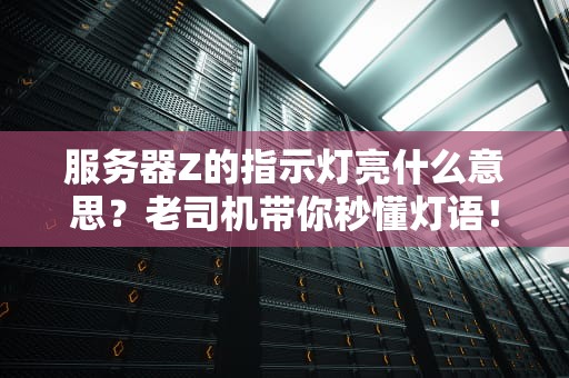 服务器Z的指示灯亮什么意思？老司机带你秒懂灯语！