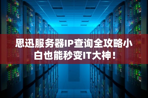 思迅服务器IP查询全攻略小白也能秒变IT大神！