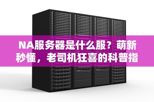 NA服务器是什么服？萌新秒懂，老司机狂喜的科普指南！