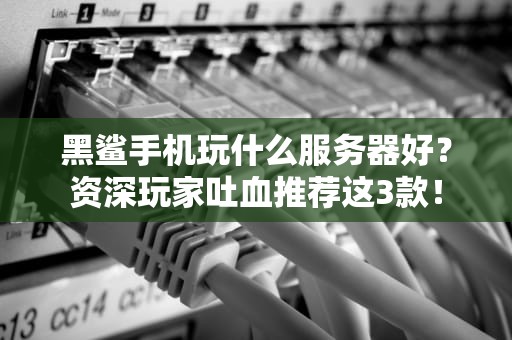 黑鲨手机玩什么服务器好？资深玩家吐血推荐这3款！