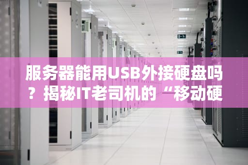 服务器能用USB外接硬盘吗？揭秘IT老司机的“移动硬盘骚操作”