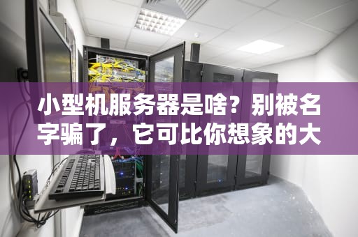 小型机服务器是啥？别被名字骗了，它可比你想象的大多了！