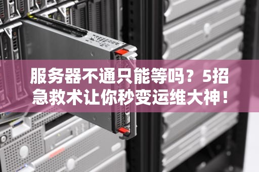 服务器不通只能等吗？5招急救术让你秒变运维大神！