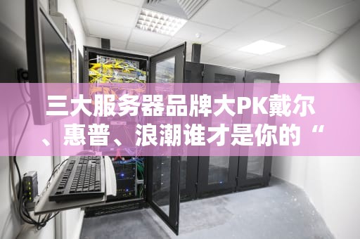 三大服务器品牌大PK戴尔、惠普、浪潮谁才是你的“真命天子”？