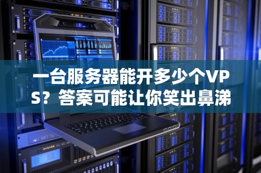 一台服务器能开多少个VPS？答案可能让你笑出鼻涕泡！