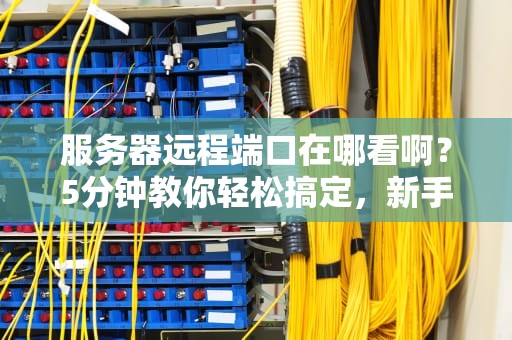 服务器远程端口在哪看啊？5分钟教你轻松搞定，新手也能变大神！