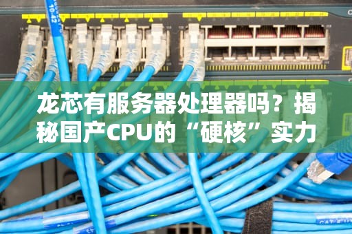 龙芯有服务器处理器吗？揭秘国产CPU的“硬核”实力与未来展望