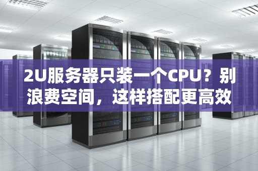 2U服务器只装一个CPU？别浪费空间，这样搭配更高效！