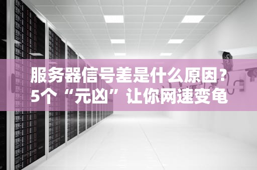 服务器信号差是什么原因？5个“元凶”让你网速变龟速！