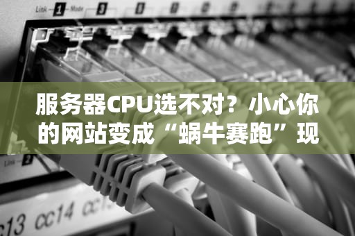 服务器CPU选不对？小心你的网站变成“蜗牛赛跑”现场！