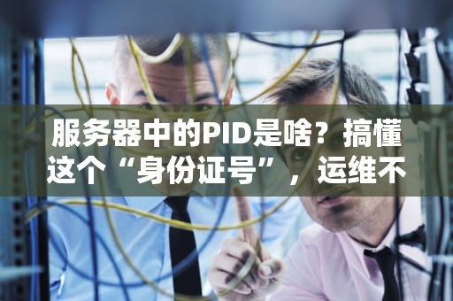 服务器中的PID是啥？搞懂这个“身份证号”，运维不再头秃！