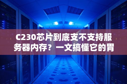 C230芯片到底支不支持服务器内存？一文搞懂它的胃口有多大！