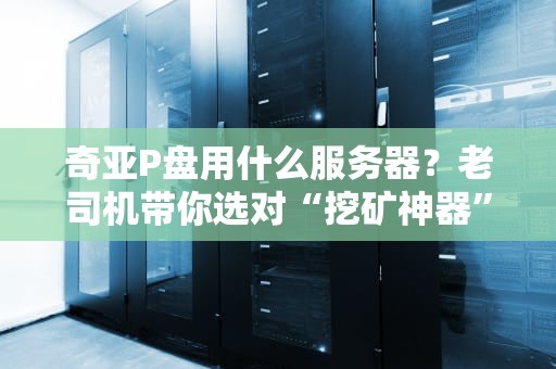 奇亚P盘用什么服务器？老司机带你选对“挖矿神器”，省钱又省心！