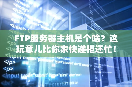 FTP服务器主机是个啥？这玩意儿比你家快递柜还忙！
