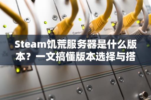 Steam饥荒服务器是什么版本？一文搞懂版本选择与搭建技巧！